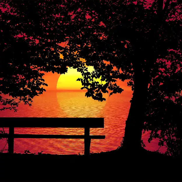 sunset bench